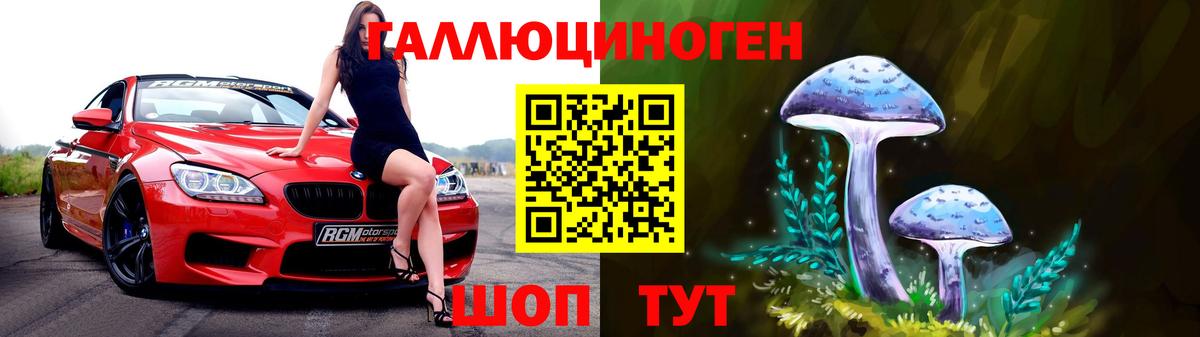Северск  Галлюциногенные грибы Cubensis  Вход с VPN 